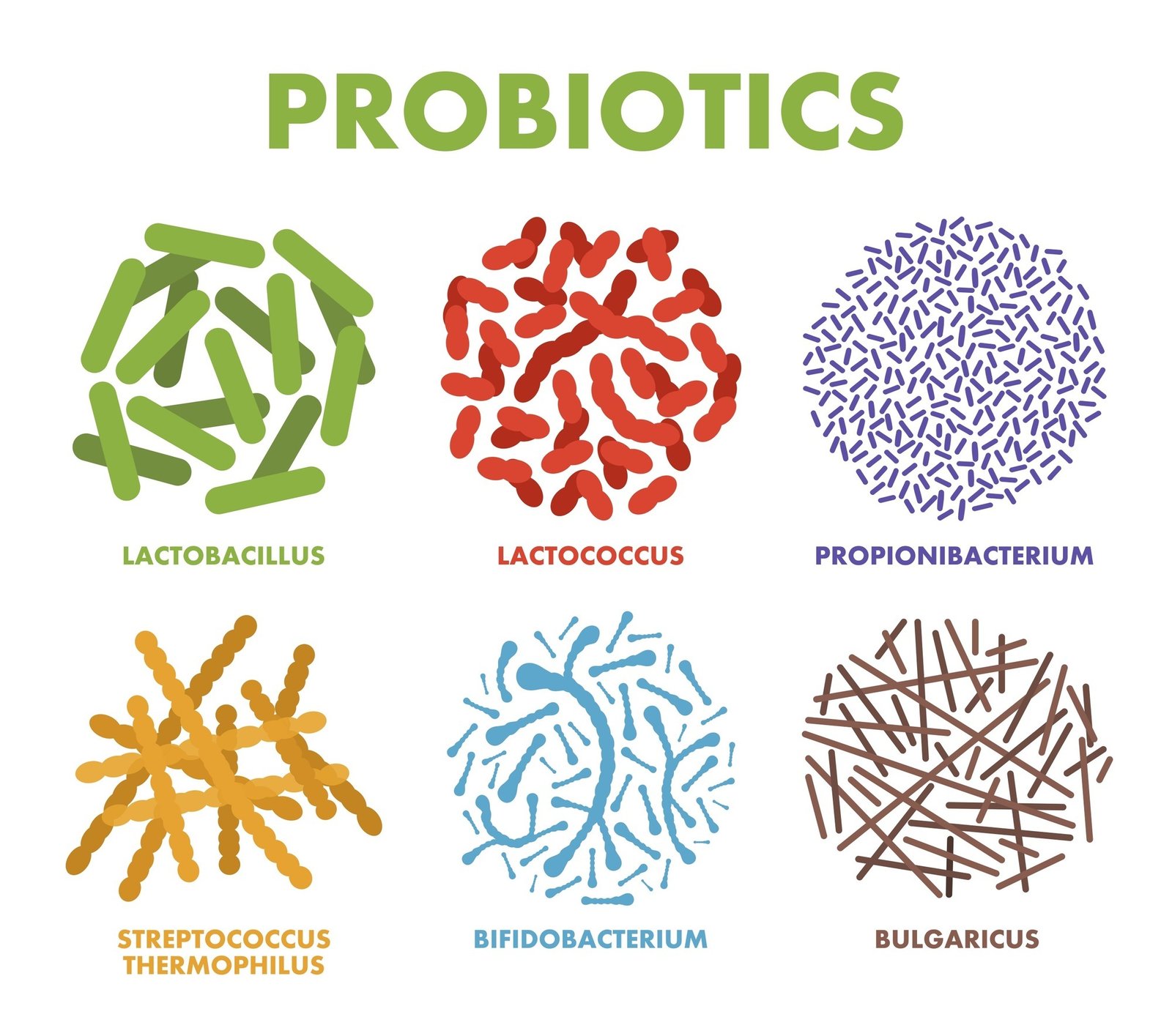 probiotics-scaled-1 probiotics-scaled-1